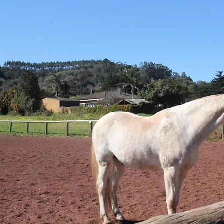 Almacanarias.rural 빌라