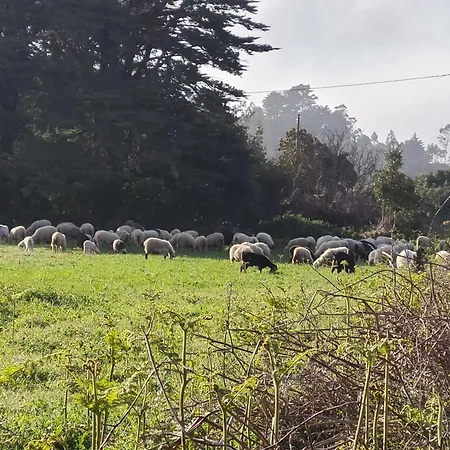 Almacanarias.rural Villa La Esperanza