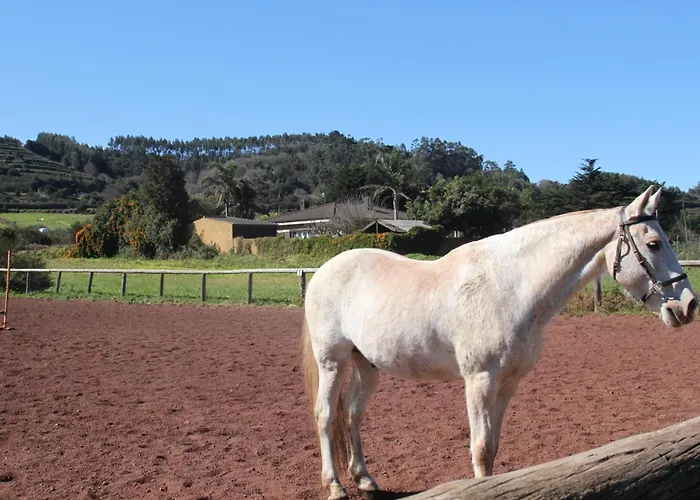 Almacanarias.rural Villa