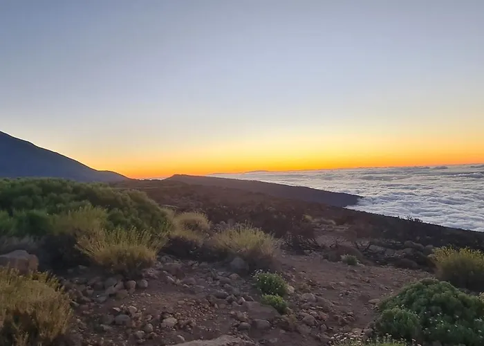 Almacanarias.rural فيلة