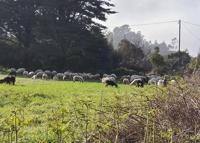 Almacanarias.rural فيلة La Esperanza (Tenerife)